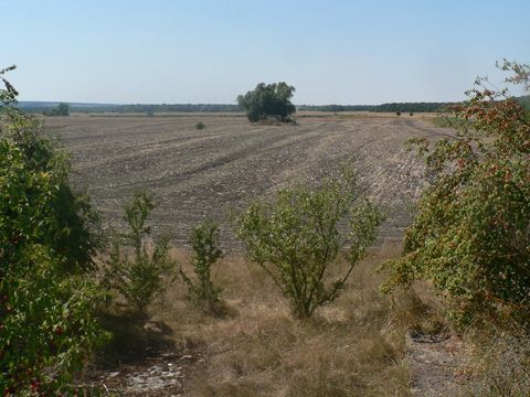Foto 16